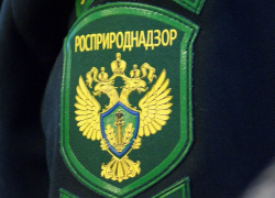 Росприроднадзор требует с администрации Кирсанова 8 миллионов рублей за ущерб экологии