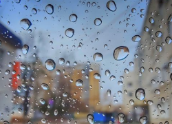 Рабочая неделя в Тамбове ожидается пасмурной и дождливой