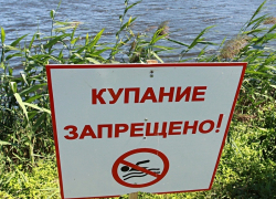 Восемь пляжей Тамбова закрыты для купания 