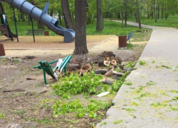 Одна из пострадавших женщин в результате падения дерева скончалась