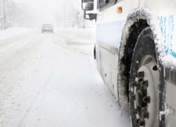 Тамбовчан в ночь на Крещение развезут по домам дополнительные автобусы