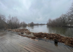 В Мичуринском районе паводок отрезал поселок от «большой земли»