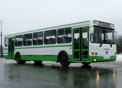 14 городских автобусов в Тамбове временно поменяли схему движения