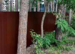 Власти Тамбова не смогли оспорить разрешение на строительство многоэтажки в Пригородном лесу