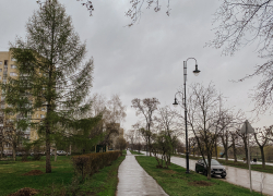 Первая рабочая неделя апреля будет тёплой, пасмурной и дождливой