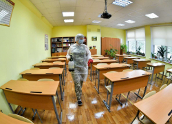 В школах региона ввели специальные меры профилактики