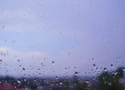 Рабочая неделя в регионе закончится дождями 