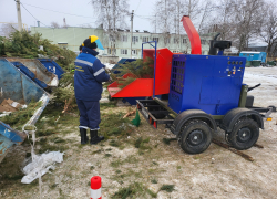 В Тамбове снова собирают новогодние ёлки на переработку