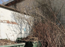 В Тамбове снова не могут наладить вывоз растительных отходов