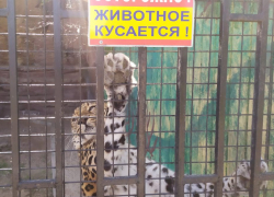 В Тамбове закрылся единственный зоопарк