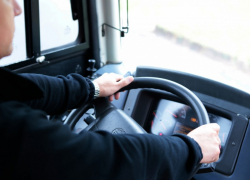 В Тамбове водитель автобуса №55 нагрубил пассажирке с маленькими детьми и испортил её вещи