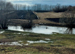 Тамбовская область прошла пик паводка