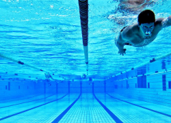 В торгах на строительство бассейна в Котовске участвовала фирма с поддельными документами