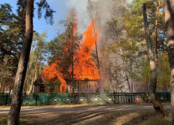 В Пригородном лесу Тамбова сгорели дотла два деревянных дома