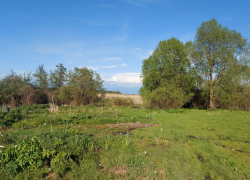 Под Моршанском в реке утонул пенсионер