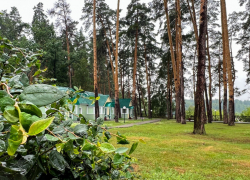 Конец рабочей недели в Тамбове будет облачным, дождливым и прохладным