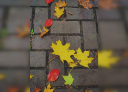 Погода в Тамбове в выходные не порадует теплом и солнцем