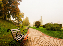 Карантин раньше времени в Тамбовской области не объявят