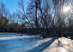 Первые выходные зимы в Тамбове будут солнечными и морозными
