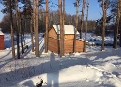 Белгородец погиб на охоте в Сосновском районе от выстрела земляка 