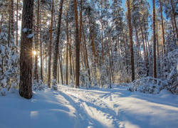 Погода на выходных: ветер, облака и много снега