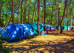 В Тамбовском районе на берегу Цны появится туристический кемпинг