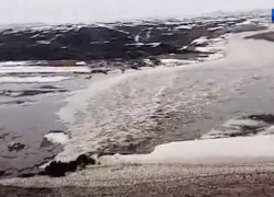 В Ржаксинском районе в пруд половодьем принесло фекалии