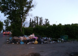 Остро стоит в Тамбове проблема вывоза мусора с территорий дачных товариществ 