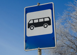 Мичуринцы через суд добились организации остановки возле школы