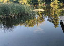 В Тамбовской области за год расчистят от мусора почти 140 километров речных берегов