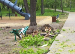 Возбуждено уголовное дело по факту смерти пенсионерки от упавшего дерева на западе Тамбова 