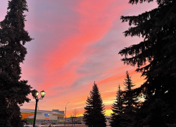 В первые выходные февраля погода в Тамбове будет мягкой и комфортной