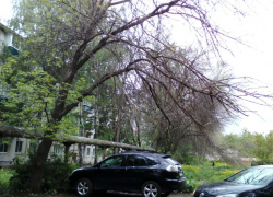 Чиновник городской администрации Тамбова проигнорировал обращения тамбовчан