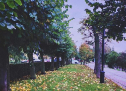 К выходным в регионе потеплеет на 10 градусов