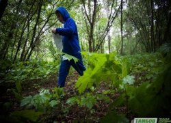 Сразу несколько соревнований по ориентированию пройдет в области 