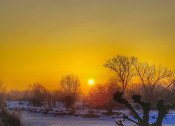 В Тамбове на праздничной мартовской неделе ожидается потепление