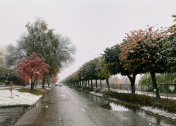 В Тамбове на этой неделе похолодает до -9 градусов