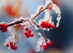 Морозы до -22 градусов придут в Тамбов к середине рабочей недели