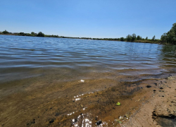 Известны подробности захвата пляжа на юге Тамбова 