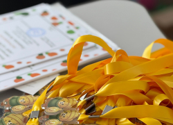 Одарённым тамбовским школьникам предложат бесплатное обучение в частной школе 