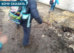 Магазин открылся, тротуар пропал: пешеходы на Астраханке пробираются по грязи 