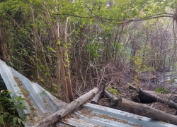 "За гаражами с председателем". Народный репортер