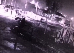 В Тамбове из нового сквера на Полынковской похитили лавочки