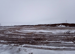 Тамбовские экологи считают, что «Токарёвская птицефабрика» скупает проблемные активы по всей стране, но экономит на безопасности