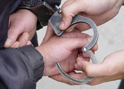 За пинок полицейскому токарёвский пенсионер пойдёт под суд 