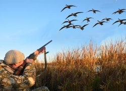 В Тамбовской области оштрафовали более полусотни охотников