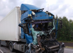 В Тамбовской области при столкновении большегрузов пострадал водитель фуры