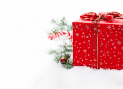 На новогодние подарки для детей в Тамбовской области потратят 6,2 миллиона рублей