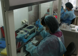 В Тамбове открылась лаборатория для тестирования медиков на COVID-19