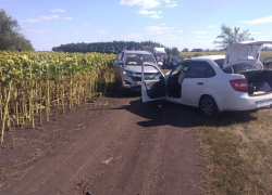 В результате ДТП в Жердевском районе погиб человек